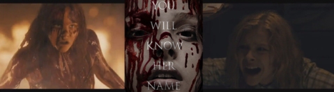 carrie-2013-banner